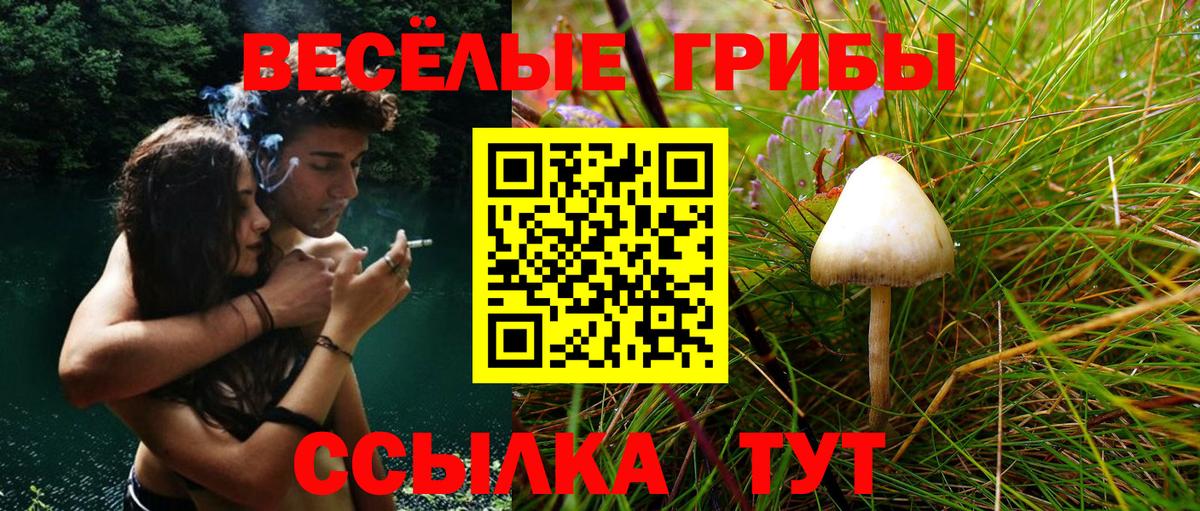 Галлюциногенные грибы ЛСД  Вход с VPN  Шатура 